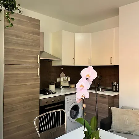 Apartment Flatluxe 1